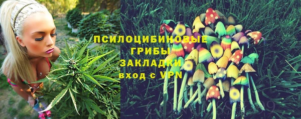 не бодяженный Абаза