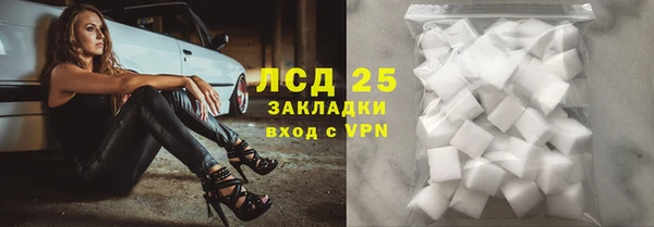 прущий лед Алзамай