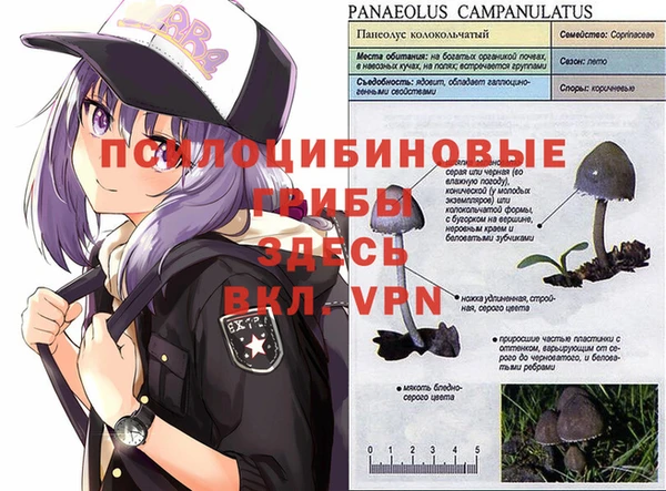 не бодяженный Абаза