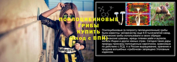 не бодяженный Абаза