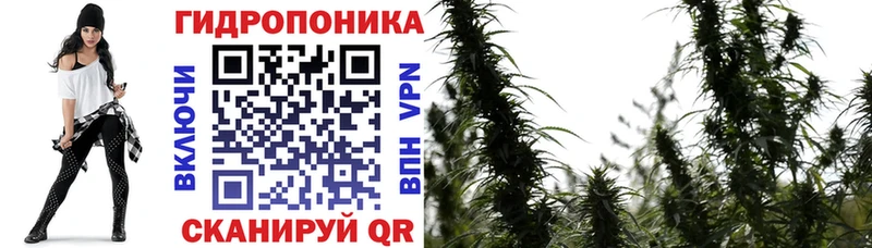 Бошки марихуана LSD WEED  blacksprut как войти  Змеиногорск  купить наркотик 